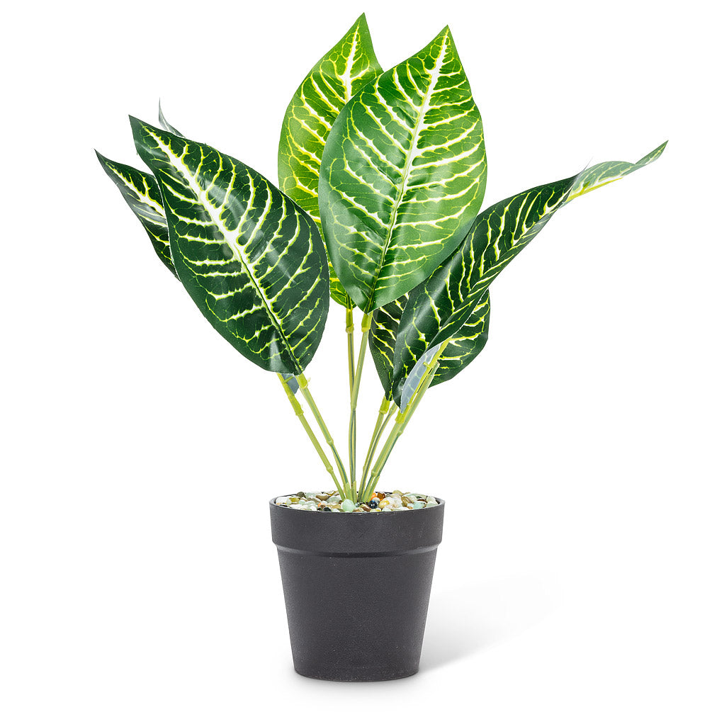 Medium Leaf Plant 14" H